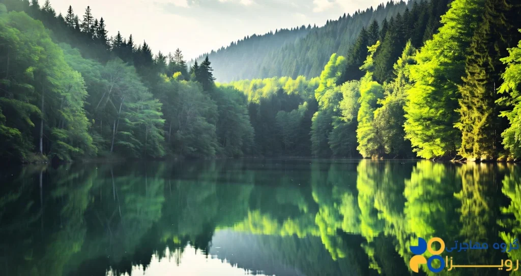 شناخت رومانی